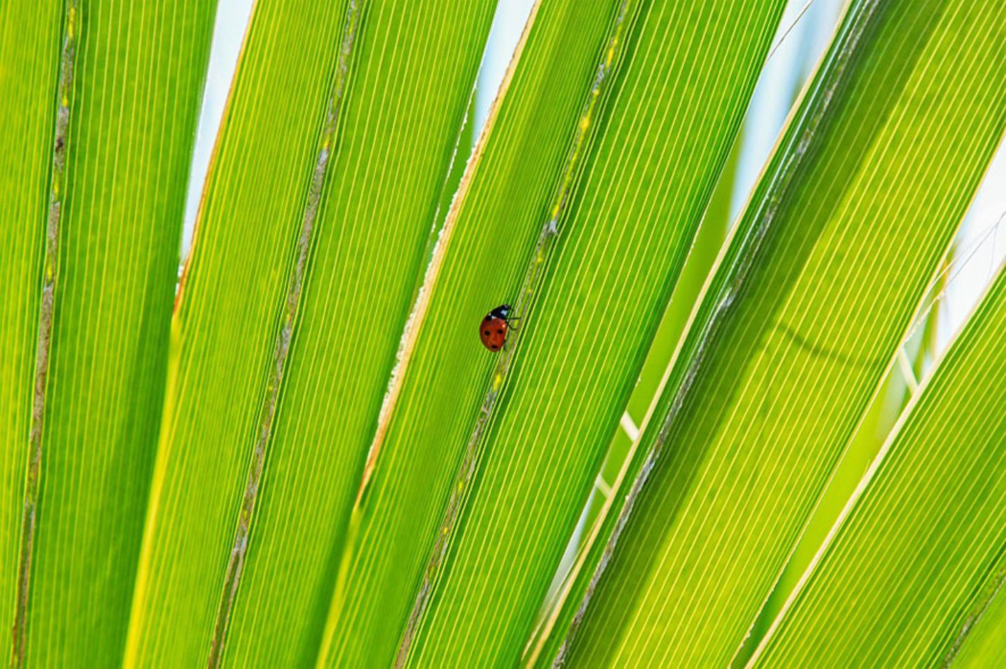 GEO Leserfoto: Die besten Leserfotos: Mai 2015 - Bild 16