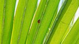GEO Leserfoto: Die besten Leserfotos: Mai 2015 - Bild 16