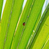 GEO Leserfoto: Die besten Leserfotos: Mai 2015 - Bild 16