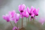 GEO Leserfoto: Die besten Leserfotos: Mai 2015 - Bild 17