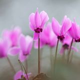 GEO Leserfoto: Die besten Leserfotos: Mai 2015 - Bild 17