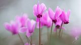 GEO Leserfoto: Die besten Leserfotos: Mai 2015 - Bild 17