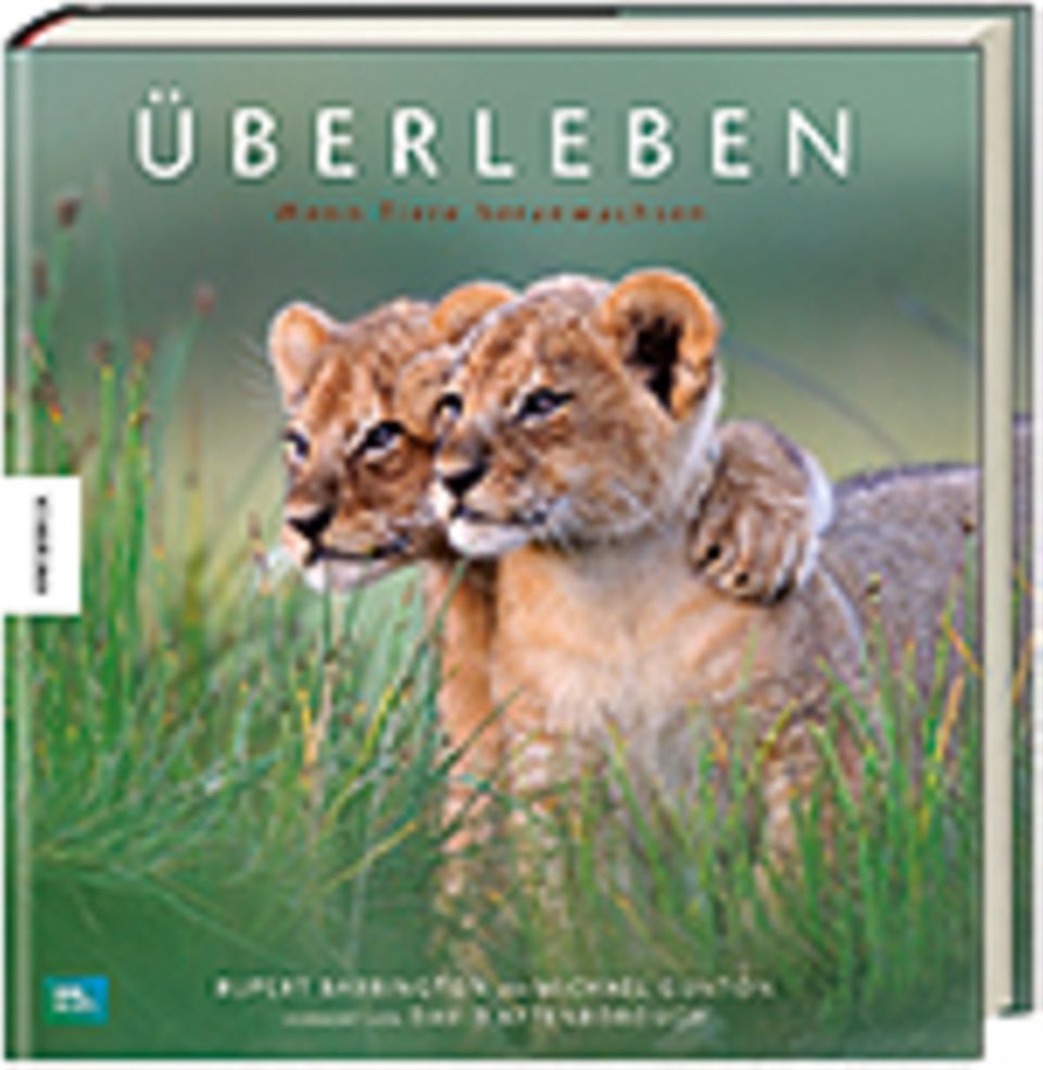 Überleben: Gemeinsam sind sie stark