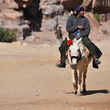 Vier Pfoten: Jordanien: Hilfsprojekt für Esel und Pferde