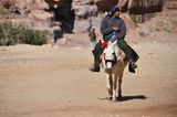 Vier Pfoten: Jordanien: Hilfsprojekt für Esel und Pferde