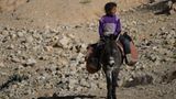 Vier Pfoten: Jordanien: Hilfsprojekt für Esel und Pferde - Bild 4