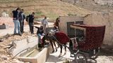 Vier Pfoten: Jordanien: Hilfsprojekt für Esel und Pferde - Bild 8