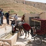 Vier Pfoten: Jordanien: Hilfsprojekt für Esel und Pferde - Bild 8