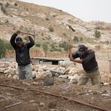 Vier Pfoten: Jordanien: Hilfsprojekt für Esel und Pferde - Bild 9