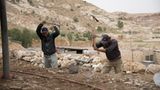 Vier Pfoten: Jordanien: Hilfsprojekt für Esel und Pferde - Bild 9