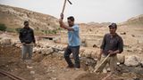 Vier Pfoten: Jordanien: Hilfsprojekt für Esel und Pferde - Bild 11
