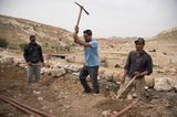 Vier Pfoten: Jordanien: Hilfsprojekt für Esel und Pferde - Bild 11