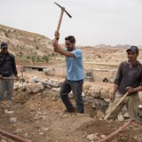 Vier Pfoten: Jordanien: Hilfsprojekt für Esel und Pferde - Bild 11