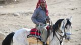 Vier Pfoten: Jordanien: Hilfsprojekt für Esel und Pferde - Bild 14