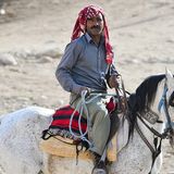 Vier Pfoten: Jordanien: Hilfsprojekt für Esel und Pferde - Bild 14