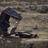 Vier Pfoten: Jordanien: Hilfsprojekt für Esel und Pferde - Bild 15