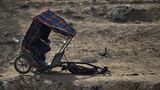 Vier Pfoten: Jordanien: Hilfsprojekt für Esel und Pferde - Bild 15