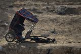 Vier Pfoten: Jordanien: Hilfsprojekt für Esel und Pferde - Bild 15