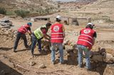 Vier Pfoten: Jordanien: Hilfsprojekt für Esel und Pferde - Bild 16