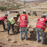 Vier Pfoten: Jordanien: Hilfsprojekt für Esel und Pferde - Bild 16