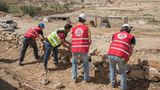 Vier Pfoten: Jordanien: Hilfsprojekt für Esel und Pferde - Bild 16
