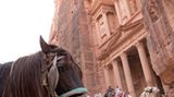 Vier Pfoten: Jordanien: Hilfsprojekt für Esel und Pferde - Bild 19