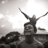 Die Geschichte des Penguin Bloom