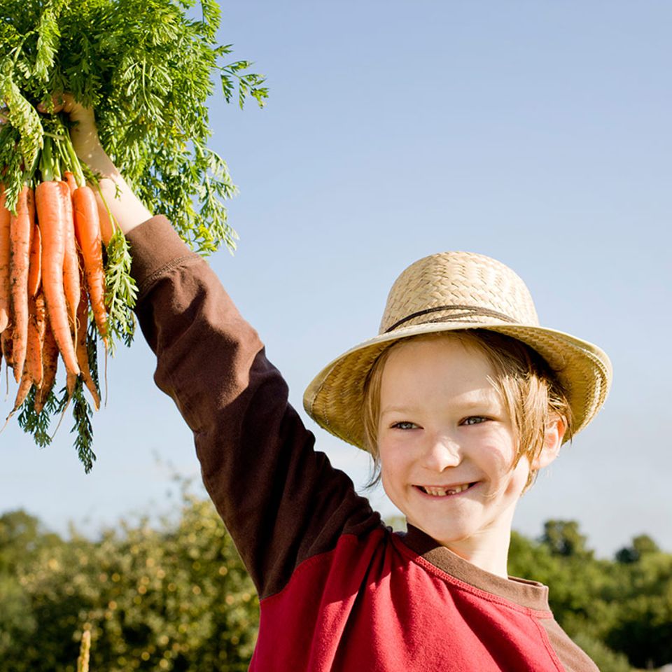Ernährung: Elf Fragen zum Vegetarismus