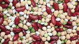 Wie können Veganer am besten Mangelerscheinungen vermeiden?