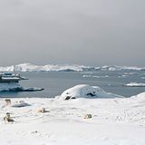 Ilulissat 3, 2010