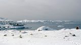 Ilulissat 3, 2010