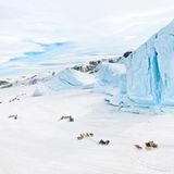 Siku 2, Uummannaq, 2007