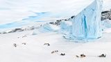 Siku 2, Uummannaq, 2007