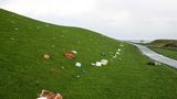Plastikmüll