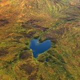 In der Tundra Alaskas