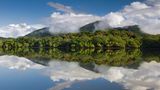 Mangrovenwälder der Mata Atlantica, Brasilien