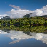 Mangrovenwälder der Mata Atlantica, Brasilien