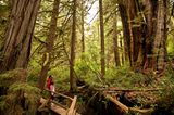 Pacific Rim Nationalpark, British Columbia