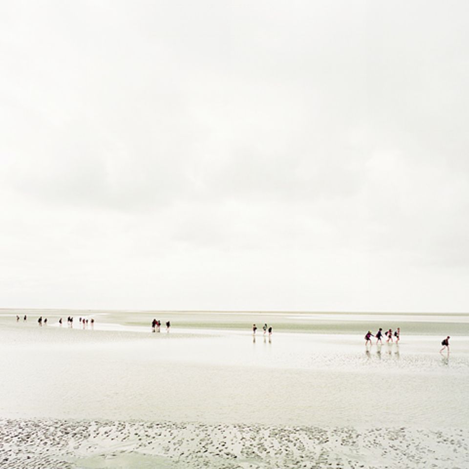Baie du Mont Saint-Michel I, 2009