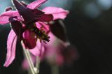 GEO Leserfoto: Die besten Leserfotos: Juni 2015 - Bild 3