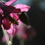 GEO Leserfoto: Die besten Leserfotos: Juni 2015 - Bild 3