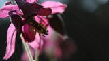 GEO Leserfoto: Die besten Leserfotos: Juni 2015 - Bild 3