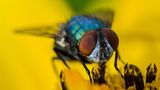 GEO Leserfoto: Die besten Leserfotos: Juni 2015 - Bild 4