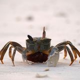 GEO Leserfoto: Die besten Leserfotos: Juni 2015 - Bild 7