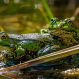 GEO Leserfoto: Die besten Leserfotos: Juni 2015 - Bild 9