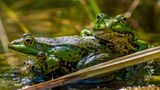 GEO Leserfoto: Die besten Leserfotos: Juni 2015 - Bild 9