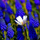 GEO Leserfoto: Die besten Leserfotos: Juni 2015 - Bild 10