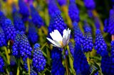 GEO Leserfoto: Die besten Leserfotos: Juni 2015 - Bild 10