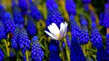 GEO Leserfoto: Die besten Leserfotos: Juni 2015 - Bild 10