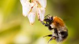 GEO Leserfoto: Die besten Leserfotos: Juni 2015 - Bild 12